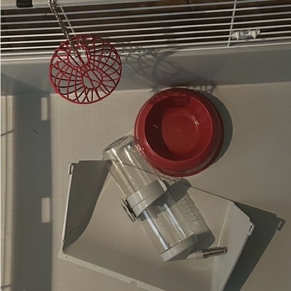 bunny cage for sale take asap!!! - Picture 3 of 4